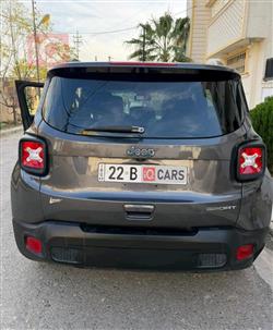 جيب رينيجيد